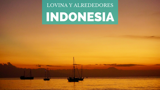 [Indonesia] Lovina y alrededores