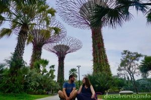 Singapur: Gardens by the bay diurno