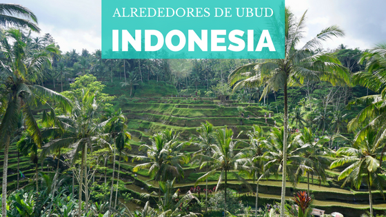[Indonesia] Alrededores de Ubud