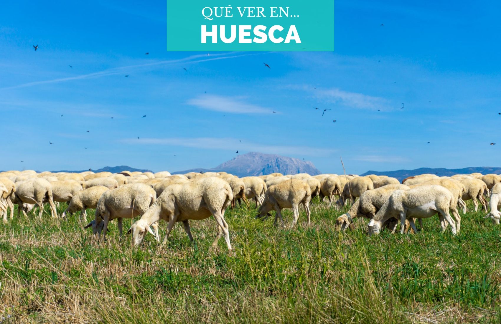 Portada-españa-huesca-que-ver