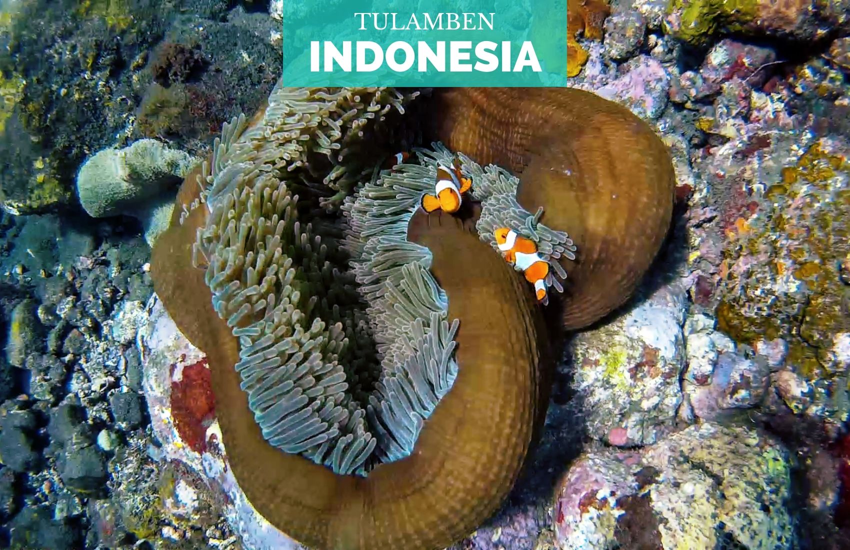 Portada-indonesia-tulamben-amed-snorkel-bali