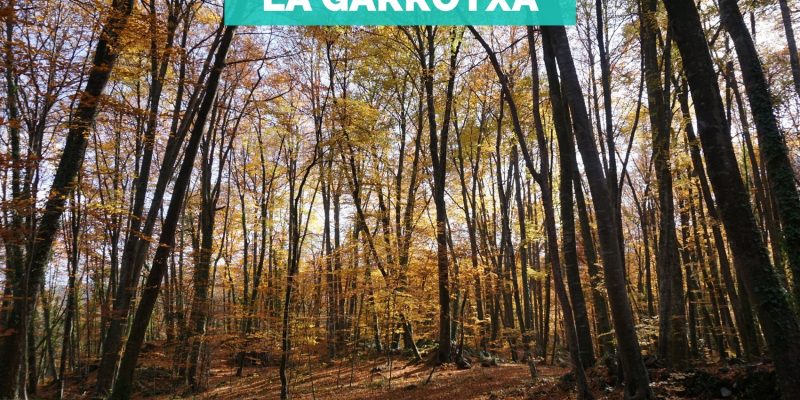Portada La Garrotxa